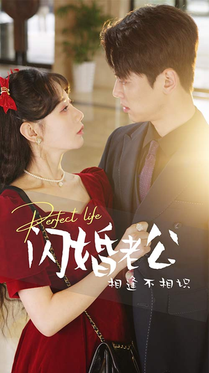 闪婚老公相逢不相识（90集）在线看完整版