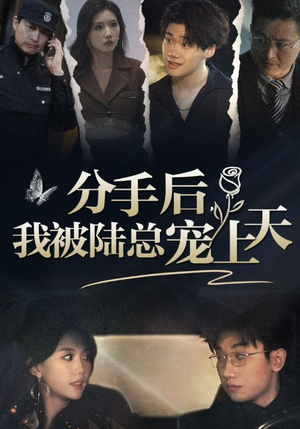 分手后,我被陆总宠上天(76集) 分手后,我被陆总宠上天(76集)女频短剧推荐