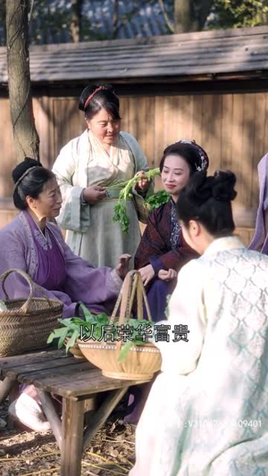 纵使相逢应不识(91集) 纵使相逢应不识(91集)在线看