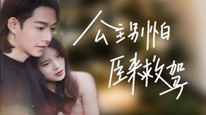 公主别怕,臣来救驾(90集) 公主别怕,臣来救驾(90集)在线观看