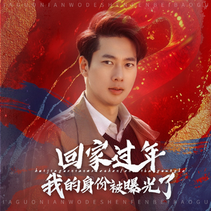 52.回家过年我的身份被曝光了(60集) 52.回家过年我的身份被曝光了(60集)口碑之选免费看