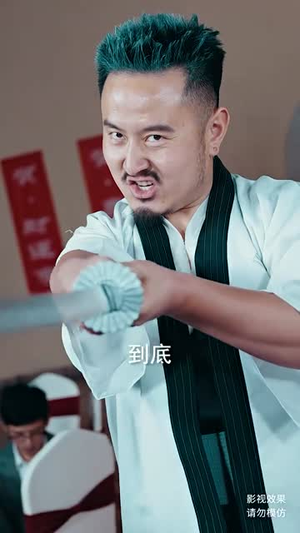 护国圣尊(100集) 护国圣尊(100集)追风的女孩短剧