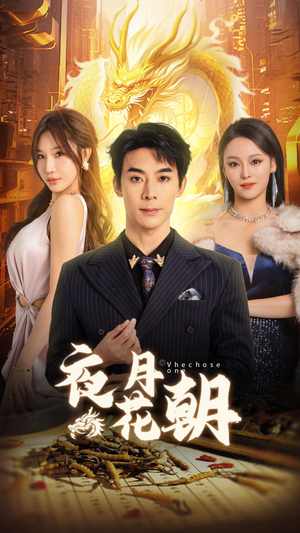 夜月花朝(30集) 夜月花朝(30集)全集完整版