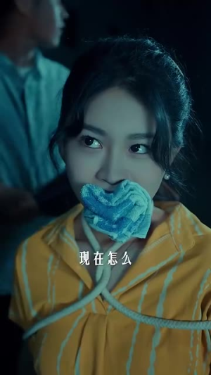 重生之山河图（85集）短剧热播中