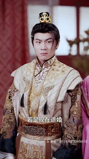 醉枕江山，这个皇子是老六（69集）网盘在线观看