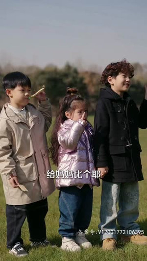 风起时见你（93集）短剧小说在线看