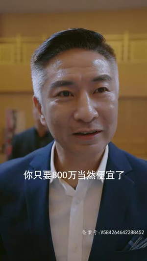 一飞冲天(一步登天) 一飞冲天(一步登天)免费在线看全集