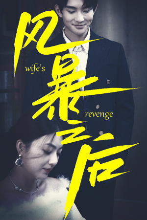 风暴之后(80集) 风暴之后(80集)短剧追到爽