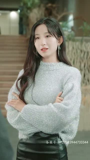 追龙之罪与罚(100集) 追龙之罪与罚(100集)看到了大结局