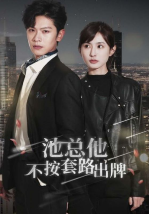 池总他不按套路出牌（100集）评价怎么样