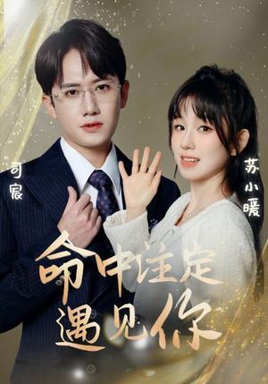 命中注定遇见你(96集) 命中注定遇见你(96集)去哪里看