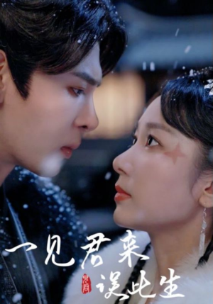 一见君来误此生（95集）短剧抢先看
