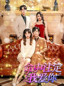 命中注定我爱你(99集) 命中注定我爱你(99集)独家短剧免费看