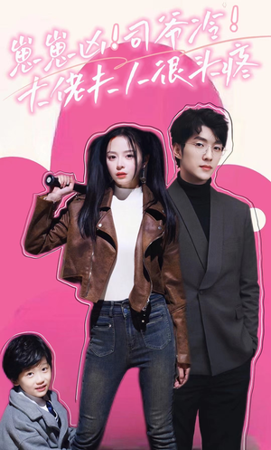 崽崽凶!司爷冷!大佬夫人很头疼(80集) 崽崽凶!司爷冷!大佬夫人很头疼(80集)精彩短剧下载