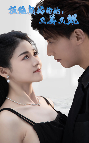 拒绝复婚的她，又美又飒（100集）在线看免费版