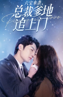 六宝来袭总裁爹地追上门(79集) 六宝来袭总裁爹地追上门(79集)第二季