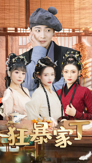 狂暴家丁$飞驰人生之超品家丁（90集）免费观看完整版