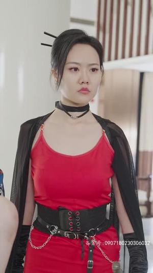 帝尊殿之飞龙天下(100集) 帝尊殿之飞龙天下(100集)热门短剧推广