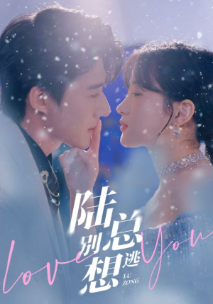 陆总别想逃(80集) 陆总别想逃(80集)免费在线看全集