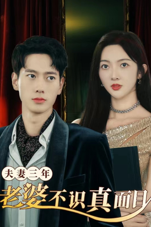夫妻三年老婆不识真面目（83集）短剧在线观看