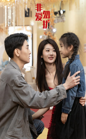 非爱勿扰（92集）番茄短剧看全集