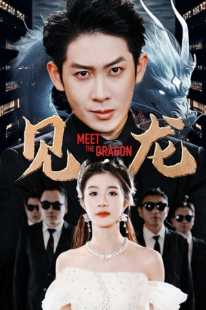 见龙(78集) 见龙(78集)直接追到结尾