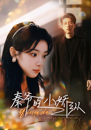 秦爷的小娇纵(96集) 秦爷的小娇纵(96集)高清无码免费看