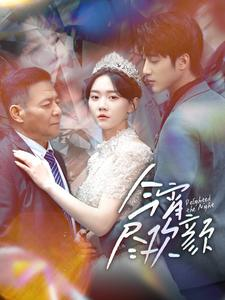 今宵尽欢颜（99集）口碑爆棚免费看