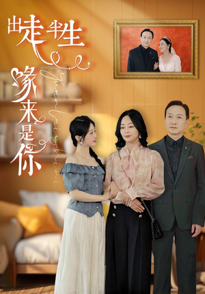 出走半生缘来是你（83集）全集免费观看