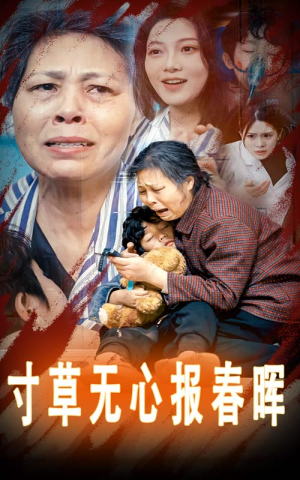 寸草无心报春晖(31集) 寸草无心报春晖(31集)在哪个平台看