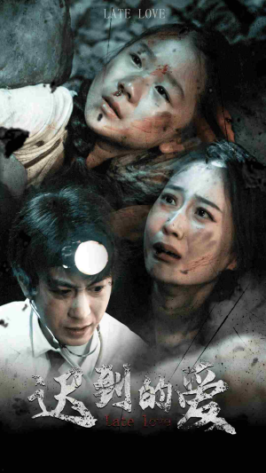 迟到的爱（48集）一共多少集