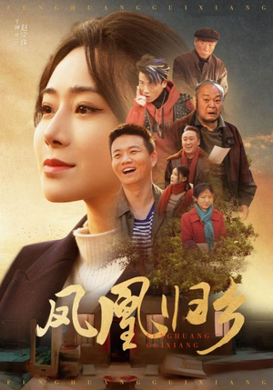 凤凰归乡（33集）短剧热播抢先看