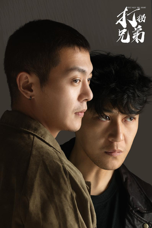 打拐兄弟(30集) 打拐兄弟(30集)免费在线看全集