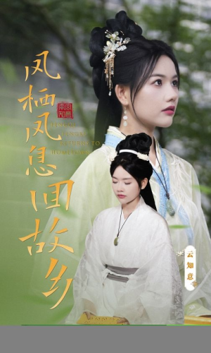 凤栖凤息回故乡（36集）超好看的短剧