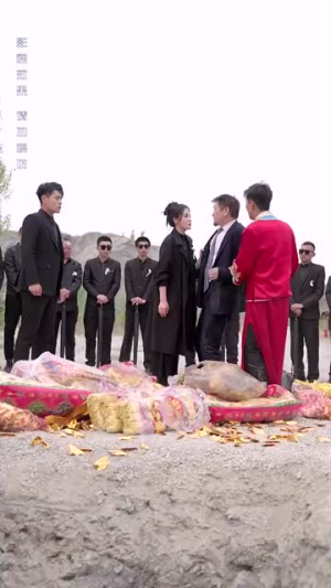 大嫂归来（69集）免费观看完整版