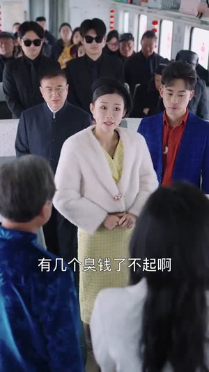 春运归途团圆年(40集) 春运归途团圆年(40集)免费看