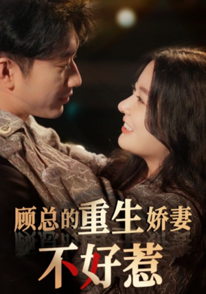 顾总的重生娇妻不好惹(60集) 顾总的重生娇妻不好惹(60集)热门短剧榜单