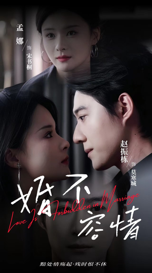 婚不容情(89集) 婚不容情(89集)大结局