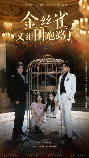 金丝雀又组团跑路了（长篇）热门短剧分享