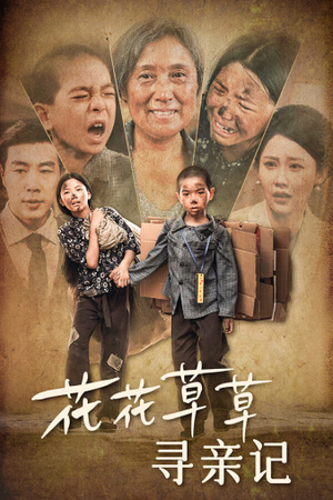 花花草草寻亲记(42集) 花花草草寻亲记(42集)看到了大结局