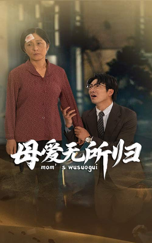 母爱无所归（33集）在哪里可以看