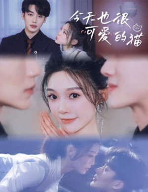 今天也很可爱的猫(72集) 今天也很可爱的猫(72集)最火短剧热播中