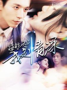 安能知我是情深（120集）迅雷网盘观看