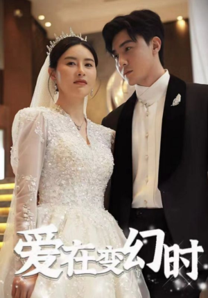 爱在变幻时（85集）在线看完整版