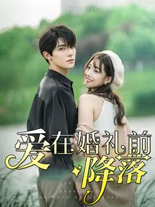 爱在婚礼前降落(50集) 爱在婚礼前降落(50集)番茄短剧看全集