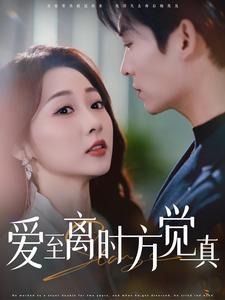 爱至离时方觉真(101集) 爱至离时方觉真(101集)大结局一气呵成