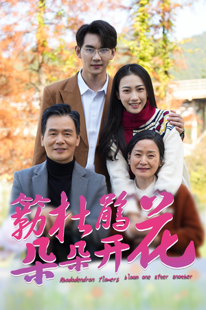 簕杜鹃花朵朵开（38集）一起追短剧吧