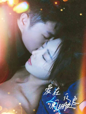 爱在夜色阑珊处（85集）精彩短剧合集