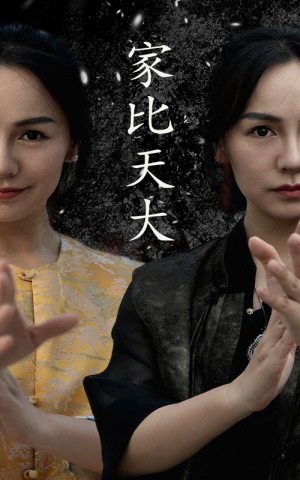 家比天大(63集) 家比天大(63集)一共多少集