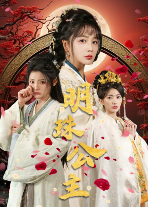 明珠公主（56集）看到了大结局